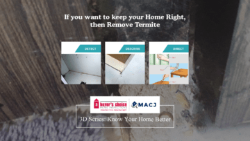 If you want to keep your Home Right, then Remove Termite