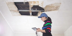 Professional Home Inspection, India