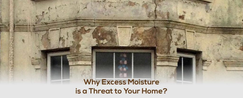 Why Excess Moisture is a Threat to Your Home