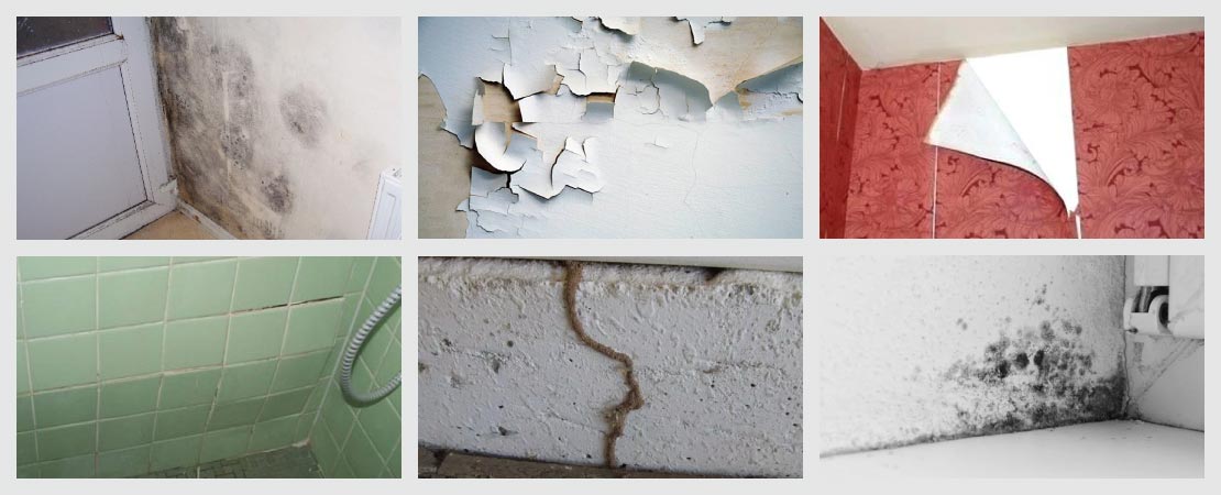 How to Remove Dampness from Wall & Revive Home Interiors - Professional  Home Inspection, India