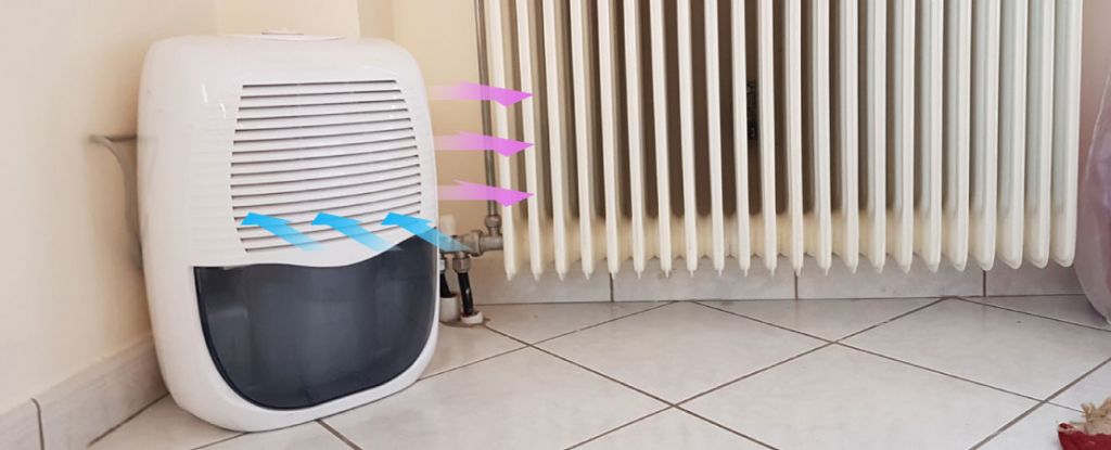 How to Control Humidity in Your Home Using a Dehumidifier?