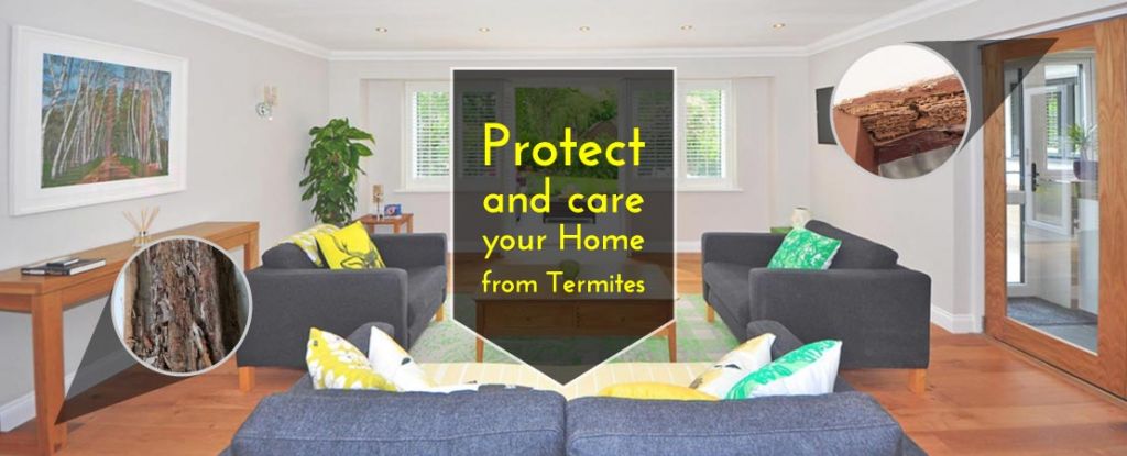 Protect and care your Home from Termites