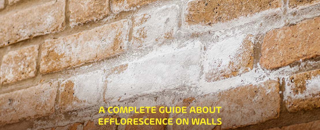 A Complete Guide about Efflorescence on Walls