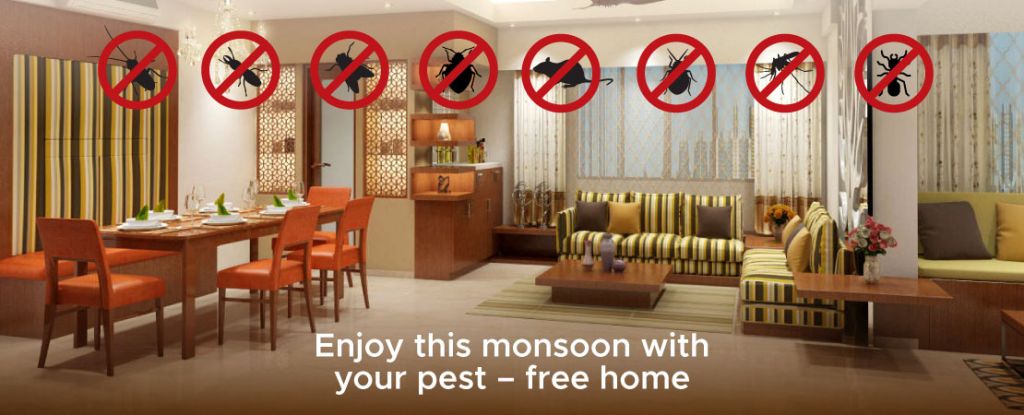 Enjoy this monsoon with your pest - free home
