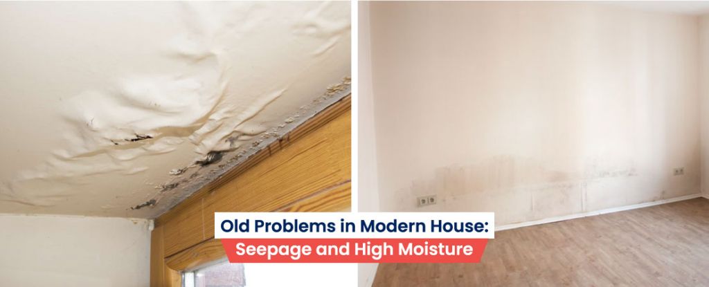 Old Problems in Modern House: Seepage and High Moisture