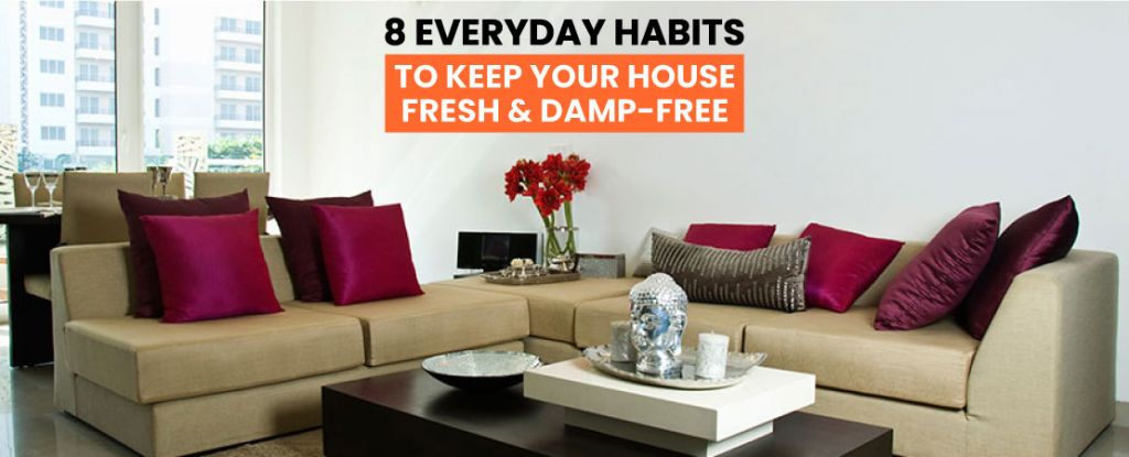 8 Everyday Habits to Keep Your House Fresh & Damp-Free