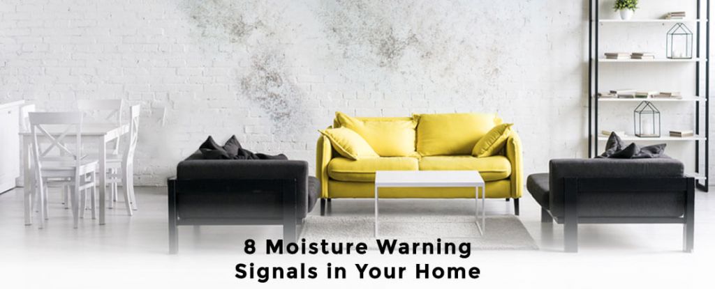 8 Moisture Warning Signals in Your Home