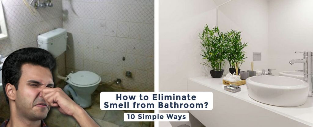 How to eliminate smell from bathroom? Read the article for 10 effective ways