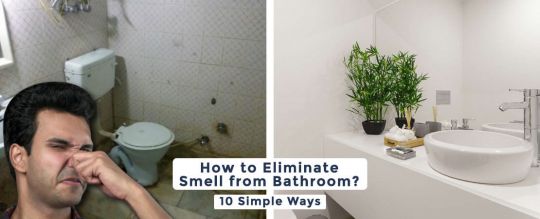 How to Eliminate Smell from Bathroom? 10 Simple Ways