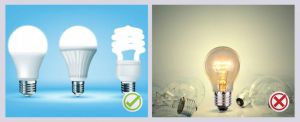 Use energy efficient lighting to reduce energy consumption.