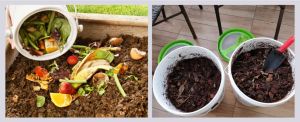 Make use of compost instead of chemical fertilizers and pesticides for your potted green plants.