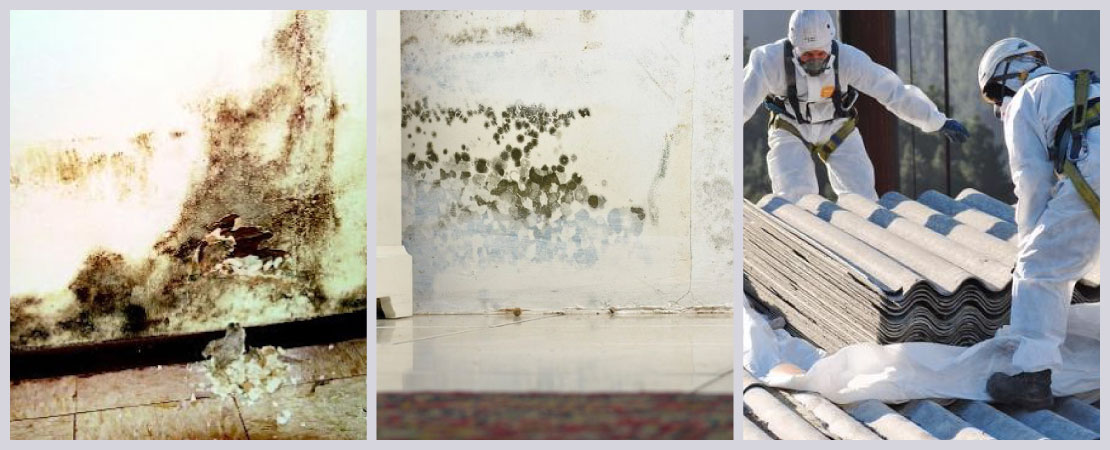 Older homes may have lead-based paints, toxic moulds, asbestos in them. Any of these are harmful to your health.