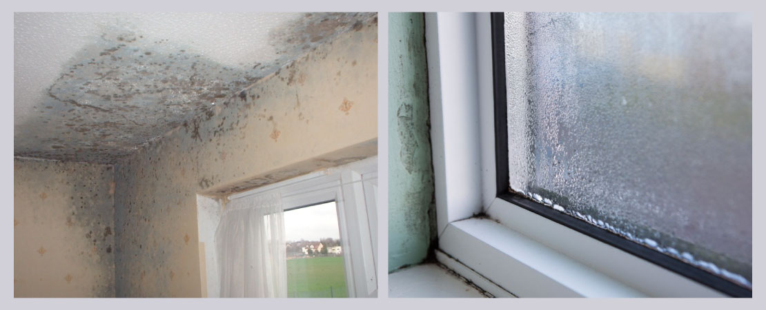 Dampness is inevitable if your house is improperly ventilated.