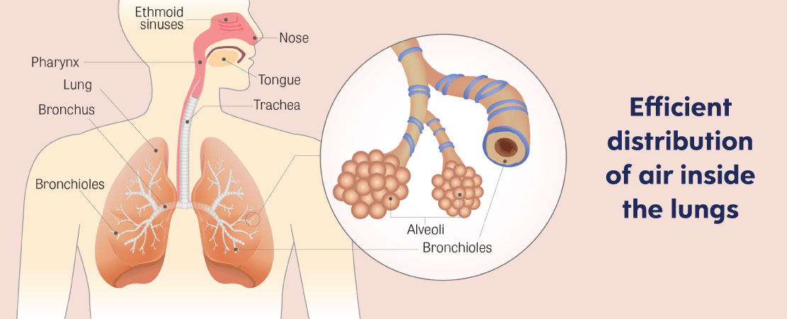 Why proning is important for a patient?