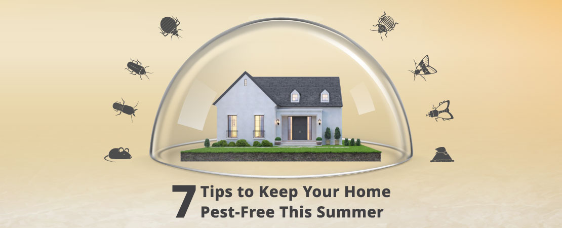 Indian summers are synonymous with notorious pest problems. This article tells you how to keep your house pest-free in the easiest possible ways.