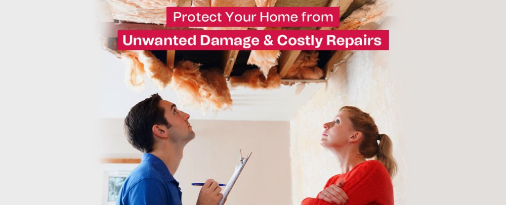 Protect Your Home from Unwanted Damage & Costly Repairs